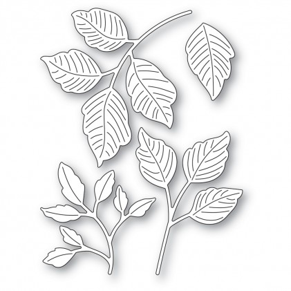 Memory Box Stanzschablone - 94664 Exquisite Leaf Set