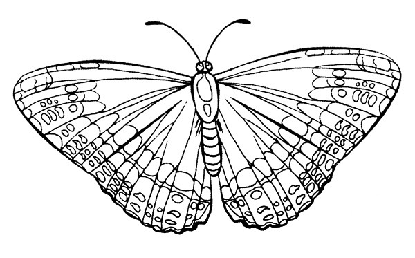 American Art Stamp - Butterfly #1