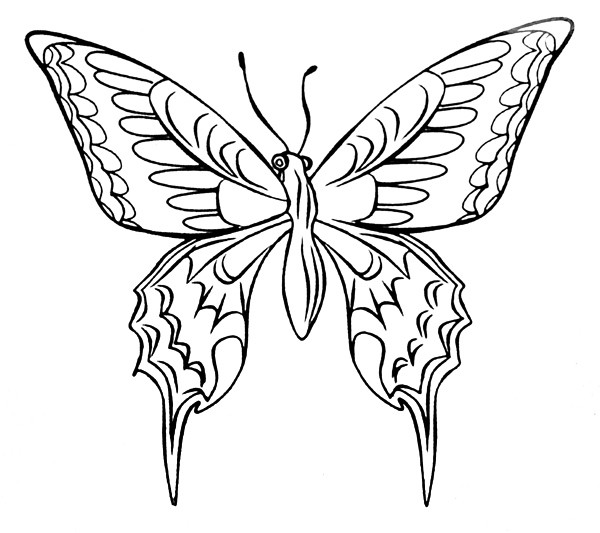 American Art Stamp - Butterfly #2