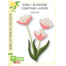 Birch Press Stanzschablone - 57520 Early Blossom Contour Layers