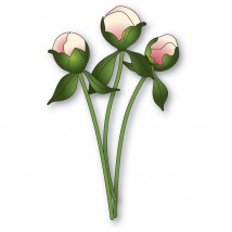 Memory Box Stanzschablone - 94876 Peony Bud Stems