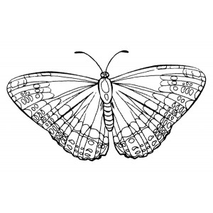 American Art Stamp - Butterfly #1 