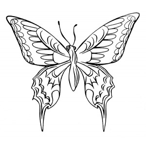 American Art Stamp - Butterfly #2 