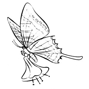 American Art Stamp - Butterfly #3 