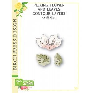 Birch Press Stanzschablone - 57494 Peeking Flower and Leaves Contour Layers