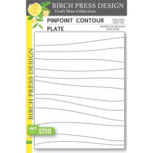 Birch Press Stanzschablone - Pinpoint Contour Plate