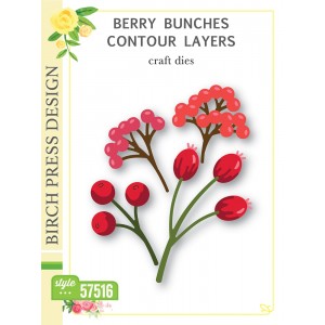 Birch Press Stanzschablone - 57516 Berry Bunches Contour Layers