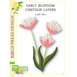 Birch Press Stanzschablone - 57520 Early Blossom Contour Layers