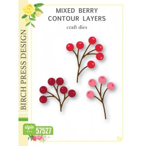 Birch Press Stanzschablone - 57527 Mixed Berry Contour Layers