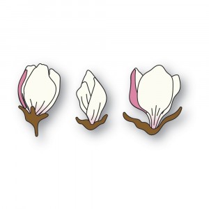 Memory Box Stanzschablone - 94718 Magnolia Bud Trio