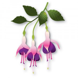 Memory Box Stanzschablone - 94784 Delicate Fuchsia Trio