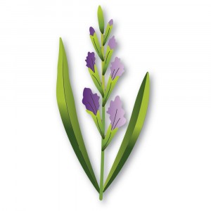 Memory Box Stanzschablone - 94792 Budding Gladiola Stem