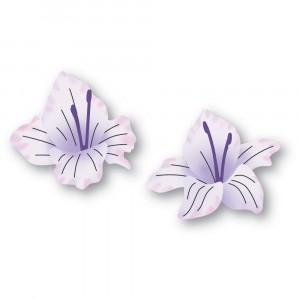 Memory Box Stanzschablone - 94793 Gladiola Floral Duo