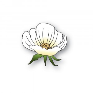 Memory Box Stanzschablone - 94844 Blushing Bloom