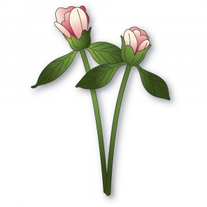 Memory Box Stanzschablone - 94874 Peony Bud Duo