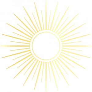 Memory Box Hot Foil Plate - MBF009 Sunburst