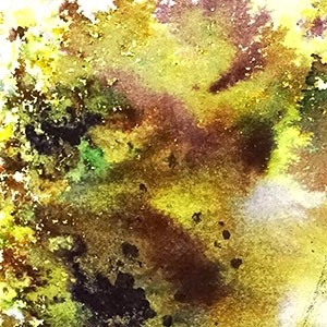 Brusho Crystal Colour Farb-Pigmente - Olive Green