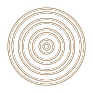 Spellbinders Glimmer Hot Foil Plates - Essential Duo Lines Circles