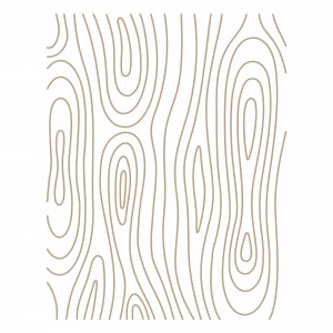 Spellbinders Glimmer Hot Foil Plates - Woodgrain Background