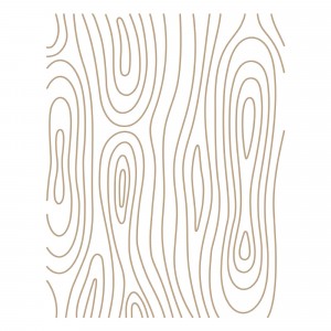 Spellbinders Glimmer Hot Foil Plates - Woodgrain Background