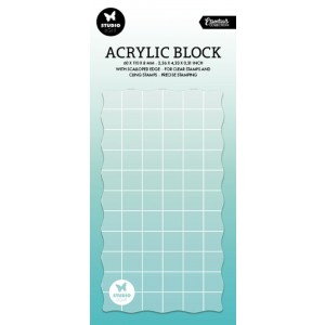 Acrylblock - 60 x 110mm mit Raster