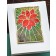 Poppy Stamps Stanzschablone - Stained Glass Poinsettia
