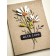 Memory Box Stanzschablone - Daisy Stems