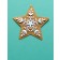 Birch Press Stanzschablone - Piped Icing Star