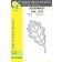 Birch Press Stanzschablone - 57484 Adornment Oak Leaf