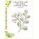 Birch Press Stanzschablone - Eucalyptus Stem and Berries Contour Layers