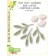 Birch Press Stanzschablone - Tiny Tuft Flowers and Leaves Contour Layers
