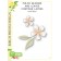 Birch Press Stanzschablone - Phlox Blooms and Leaves Contour Layers