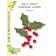 Birch Press Stanzschablone - 57512 Jolly Holly Contour Layers