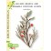 Birch Press Stanzschablone - 57524 Hillside Branch and Bramble Contour Layers