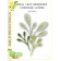 Birch Press Stanzschablone - 57525 Oval Leaf Branches Contour Layers