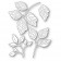 Memory Box Stanzschablone - Exquisite Leaf Set
