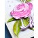 Memory Box Stanzschablone - Gentle Rose Watercolor Floral