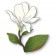 Memory Box Stanzschablone - Magnolia Blooming Bud