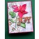 Memory Box Stanzschablone - 94734 Glorious Poinsettia