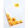 Memory Box 3D Prägeschablone - Floral Corner 3D Embossing Folder
