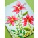 Memory Box 3D Prägeschablone - Perfect Poinsettias 3D Embossing Folder and Dies