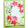 Memory Box 3D Prägeschablone - Poinsettia Corner 3D Embossing Folder and Dies