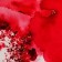 Brusho Crystal Colour Farb-Pigmente 15g - Scarlet 