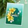Spellbinders Four Petal Floral 3D Embossing Folder 