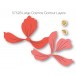 Birch Press Stanzschablone - 57528 Large Cosmos Contour Layers