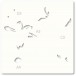 Memory Box Template Set - 88620 Gracious Floral Stencil Set