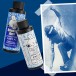 Bearly Art Cyanotype Kit