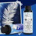 Bearly Art Cyanotype Kit