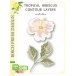 Birch Press Stanzschablone - Tropical Hibiscus Contour Layers
