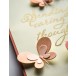 Birch Press Stanzschablone - Simple Butterfly Contour Layers